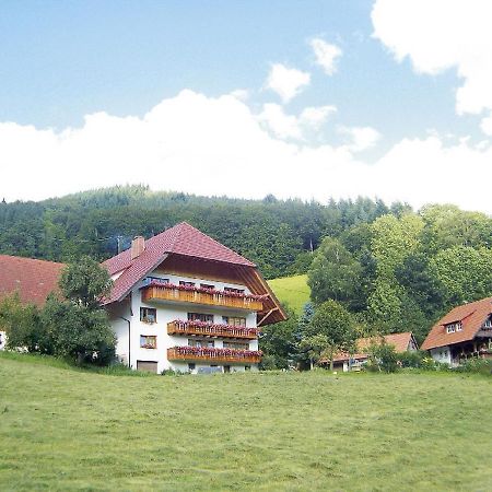 Geigerbauernhof Apartment Mühlenbach Exterior foto