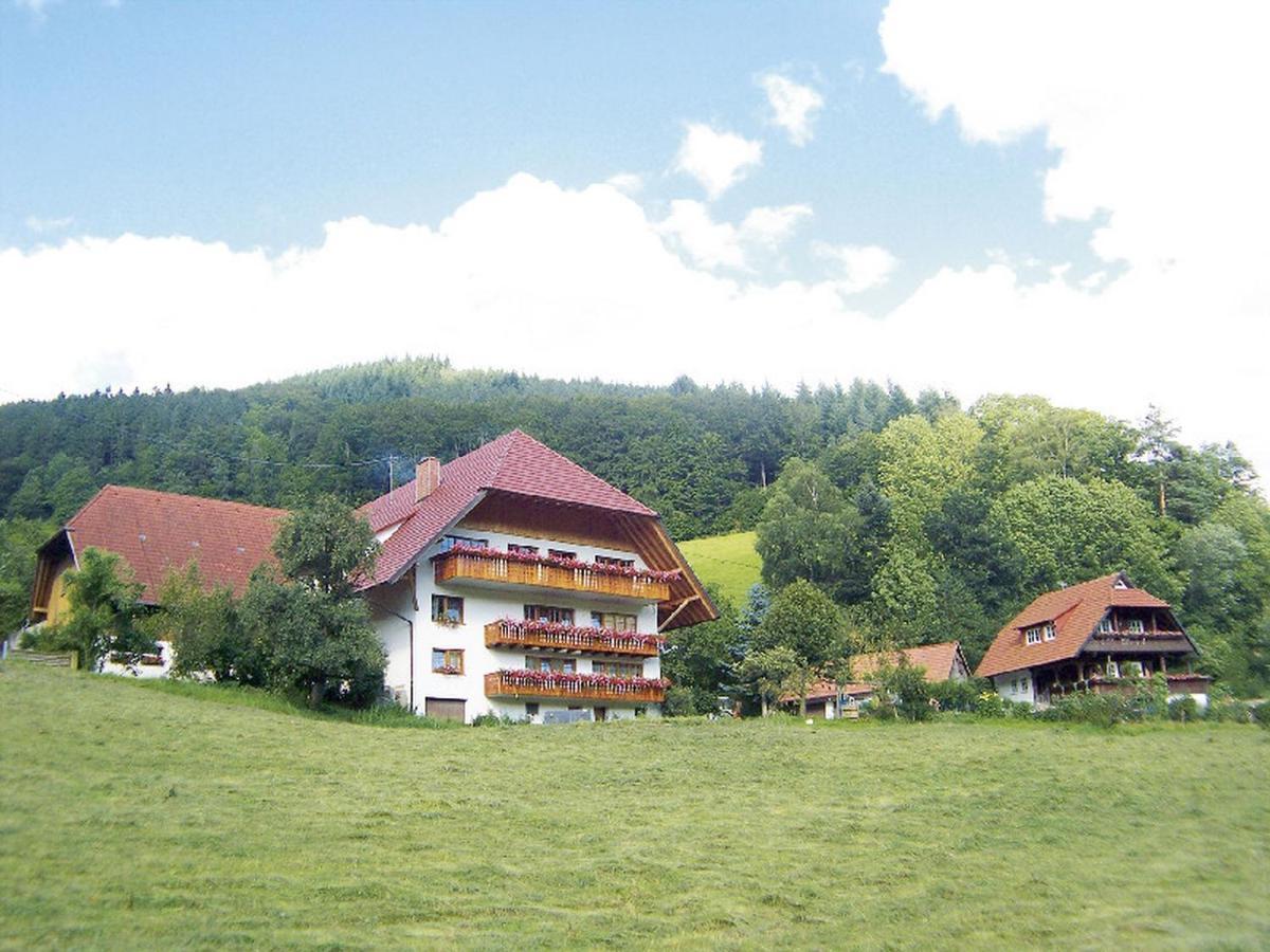 Geigerbauernhof Apartment Mühlenbach Exterior foto