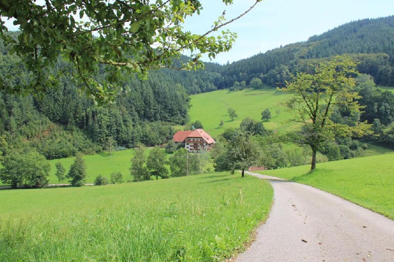 Geigerbauernhof Apartment Mühlenbach Exterior foto